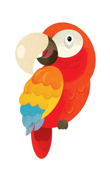 Cena Dos Desenhos Animados Com Papagaio Feliz Fundo Branco Ilustração — Fotografia de Stock