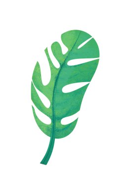 doğa beyaz arka planda - illüstrasyon çocuklar için çizgi film sahne kümesiyle yapraklar