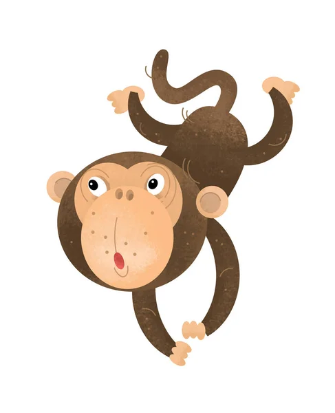 cartoon scene with monkey on white background - illustration for children