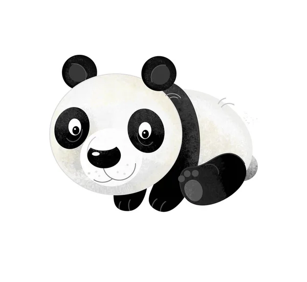 Scène Dessin Animé Avec Ours Panda Sur Fond Blanc Illustration — Photo