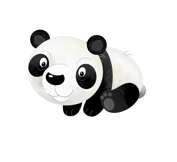 Cena Dos Desenhos Animados Com Urso Panda Fundo Branco Ilustração — Fotografia de Stock