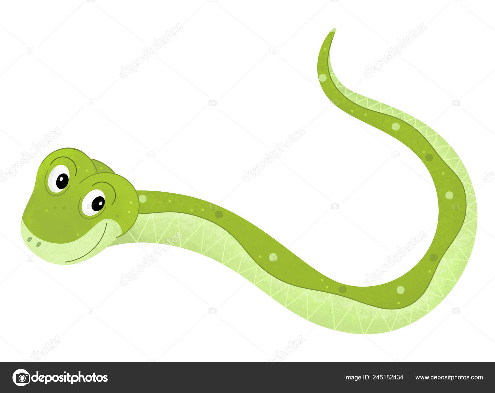 Cartoon Scene Snake White Background Sign Name Animal Illustration Children  Stock Photo by ©agaes8080 245182434