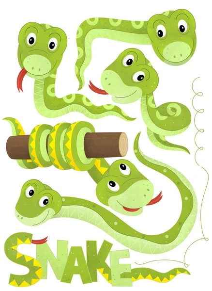Desenhos animados para crianças, Caça às cobra