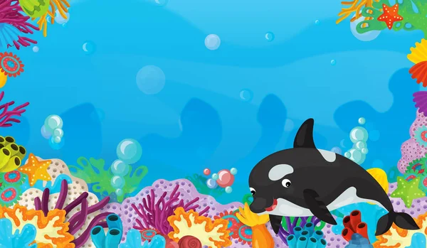 cartoon scene with coral reef with happy and cute fish swimming with frame space text killer whale - illustration for children