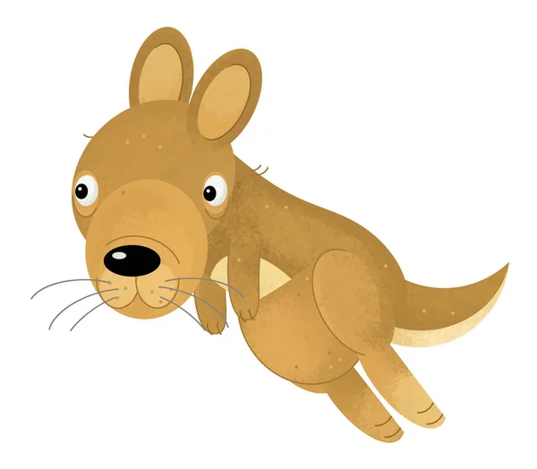 Cartoon Scene Happy Funny Kangaroo White Background Illustration Children — Stock Photo, Image