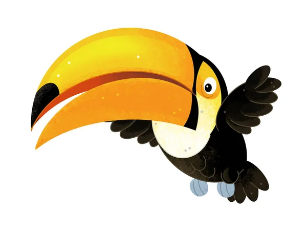 Cartoon Scen Med Toucan Vit Bakgrund Illustration För Barn — Stockfoto