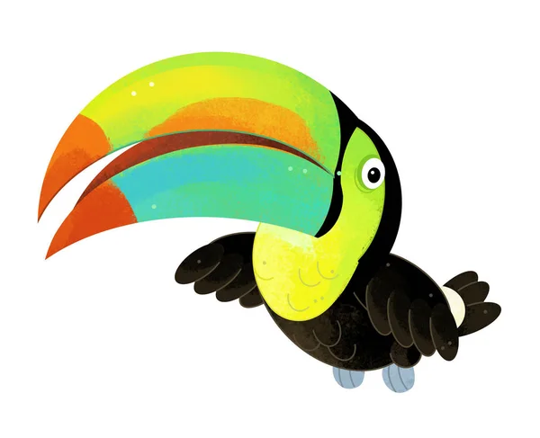 Cartoon Scene Toucan White Background Illustration Children — Stock Photo, Image