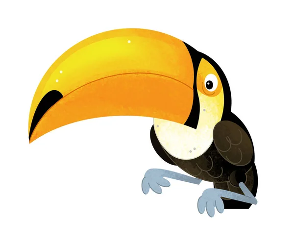 Scena Dei Cartoni Animati Con Toucan Sfondo Bianco Illustrazione Bambini — Foto Stock