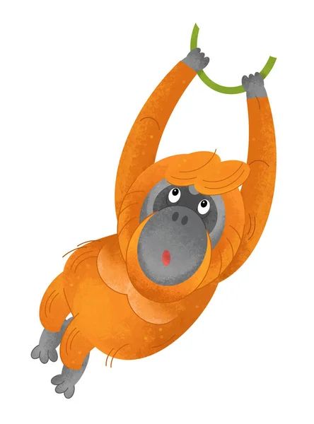 Cartoon Scen Med Monkey Orangutang Vit Bakgrund Illustration För Barn — Stockfoto