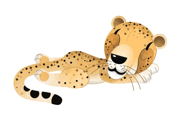 Kreskówka Scena Cheetah Białym Tle Ilustracja Dla Dzieci — Zdjęcie stockowe