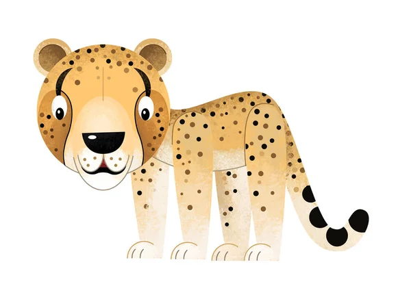 Cartoon Scen Med Cheetah Vit Bakgrund Illustration För Barn — Stockfoto