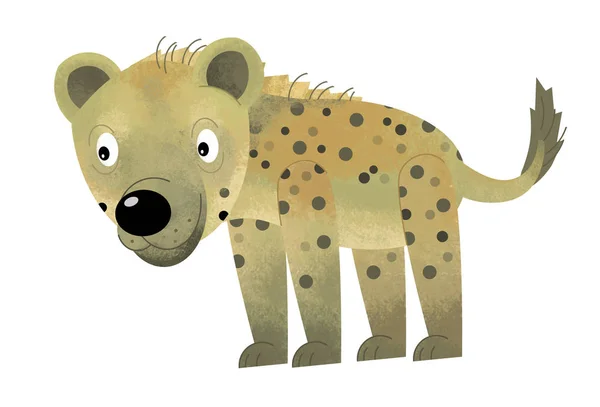 Escena de dibujos animados con hiena sobre fondo blanco - ilustración para — Foto de Stock
