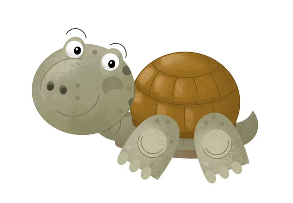 Scène de dessin animé avec tortue heureuse sur fond blanc - illustration pour enfants — Photo