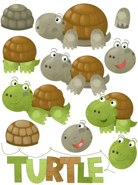 Cartoon scene with happy turtle on white background - illustration for children — Stock Photo, Image