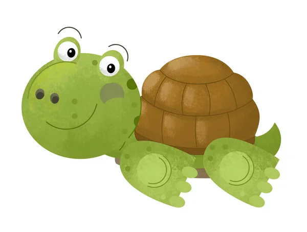 Cartoon Scene Turtle White Background Illustration Children — Stock Photo, Image