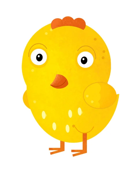Cartoon scen med kyckling på vit bakgrund - illustration för barn — Stockfoto