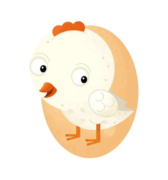 Kreslený scény s kuřetem na bílém pozadí - ilustrace pro děti — Stock fotografie