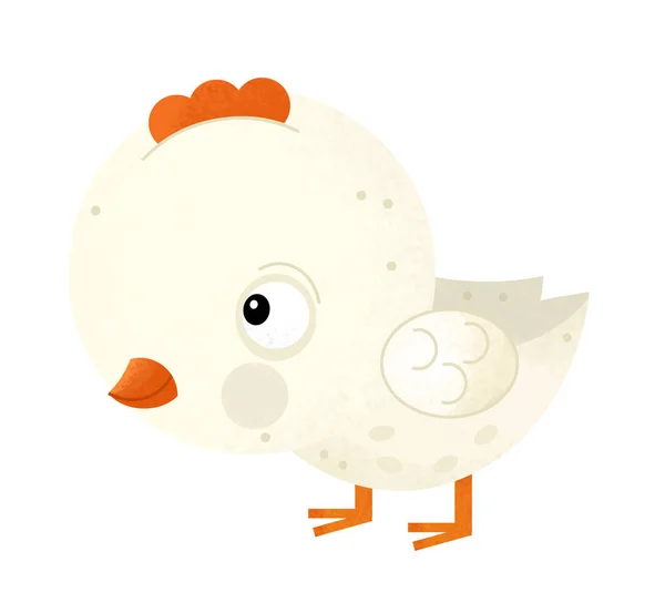 Scène de dessin animé avec du poulet sur fond blanc - illustration pour enfants — Photo