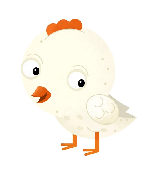 Scène de dessin animé avec du poulet sur fond blanc - illustration pour enfants — Photo