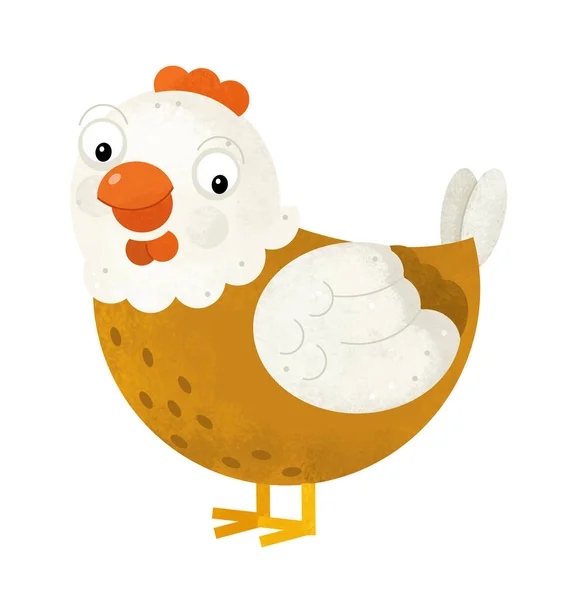 Escena de dibujos animados con gallina de pollo sobre fondo blanco - illustratio —  Fotos de Stock