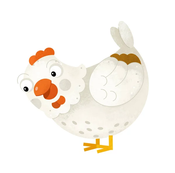 Scenie kreskówka kura kurczak na białym tle - pozdrowienie — Zdjęcie stockowe