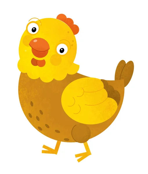 cartoon scene with chicken hen on white background - illustratio