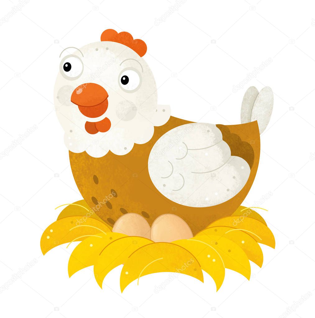 cartoon scene with chicken hen on white background - illustratio
