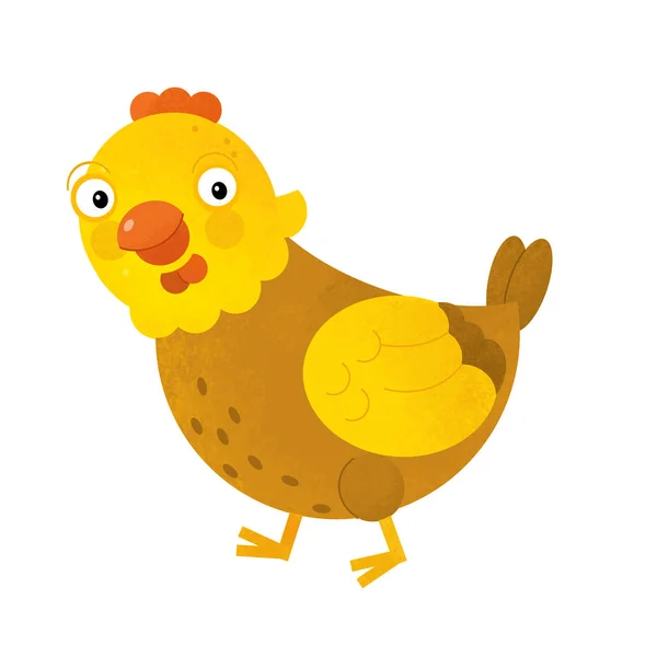 Cartoon scene with chicken hen on white background - illustration for children — Stock Photo, Image