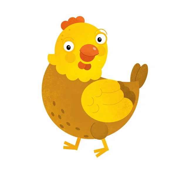 cartoon scene with chicken hen on white background - illustration for children