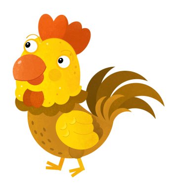 horoz beyaz arka planda - illüstrasyon çocuklar için çizgi film sahne