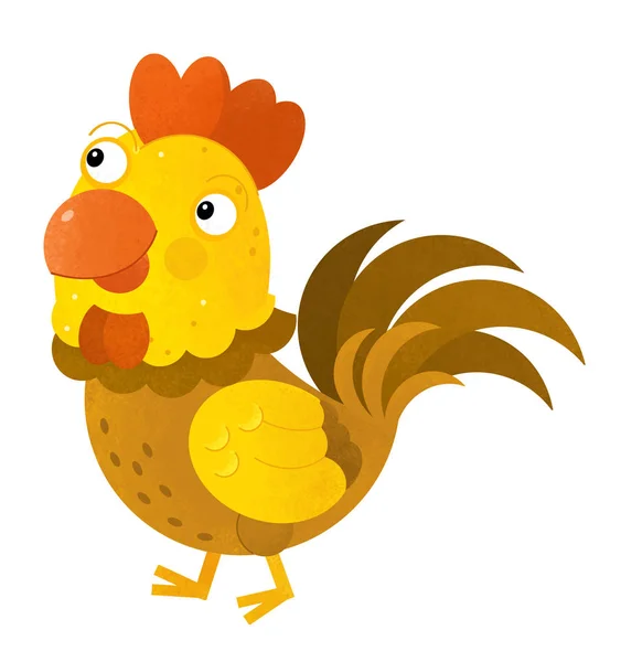 Cartoon scene with rooster on white background - illustration for children — Stock Photo, Image