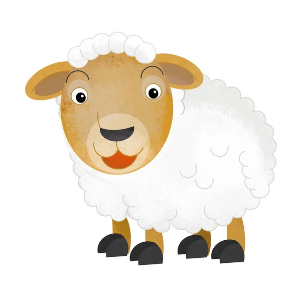 Kreskówka scena z gospodarstwa owiec na białym tle - ilustracja dla dzieci — Zdjęcie stockowe