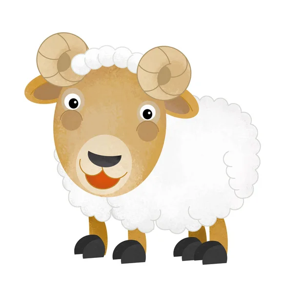 Cartoon scene with farm sheep on white background - illustration for children — Stock Photo, Image