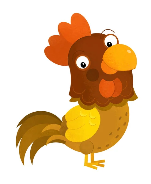 Cartoon scene with rooster on white background - illustration fo — Stock Photo, Image