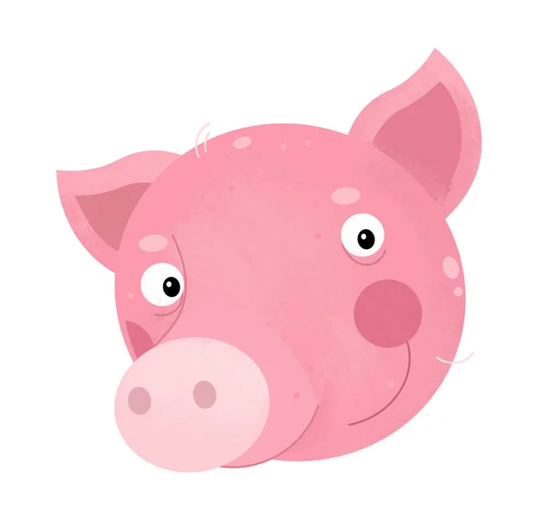 Cena dos desenhos animados com parte do corpo de porco no fundo branco - ilustração para crianças — Fotografia de Stock