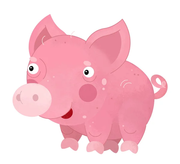 Scène de dessin animé avec cochon sur fond blanc - illustration pour enfants — Photo