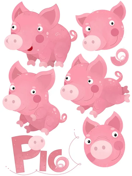 Cena dos desenhos animados com porco definido no fundo branco - ilustração para crianças — Fotografia de Stock