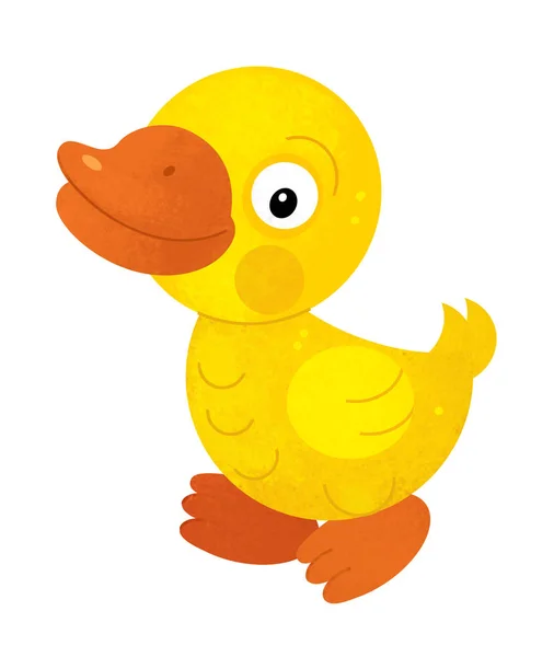 cartoon scene with duck on white background - illustration for children