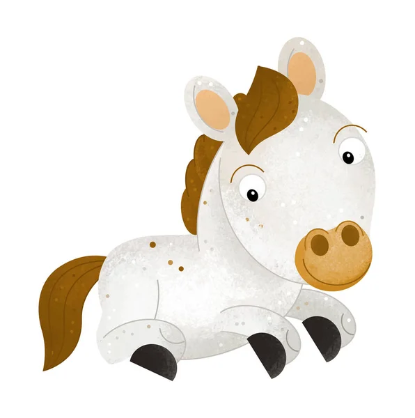 Cartoon scene with horse on white background - illustration for children — Stock Photo, Image