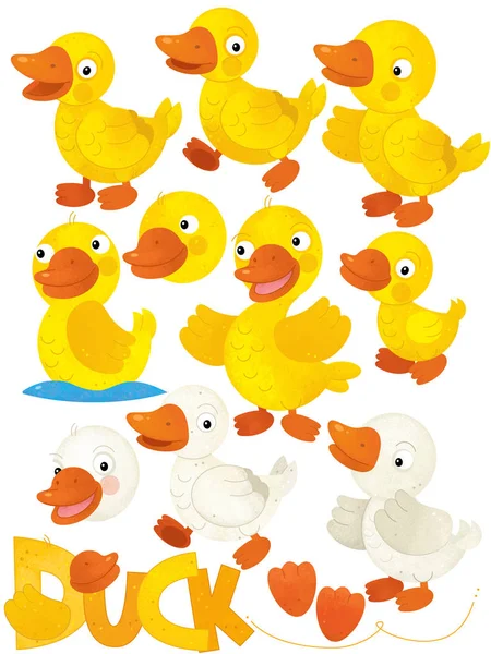 cartoon scene with duck set on white background - illustration for children