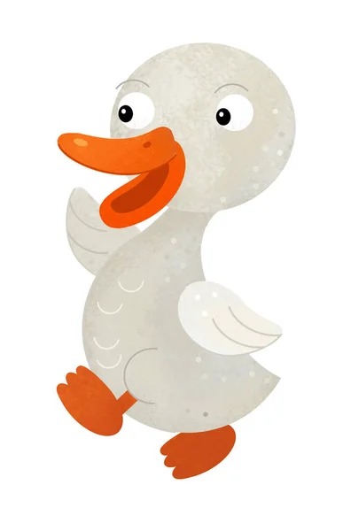 Cartoon scene with goose on white background - illustration for children — Stock Photo, Image