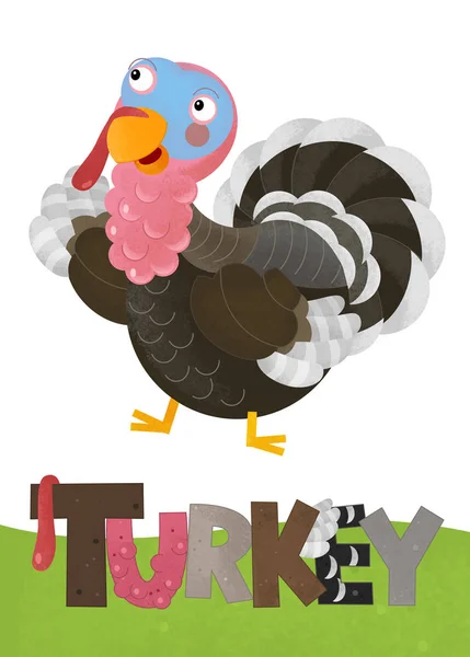 Cartoon scene with happy turkey on white background with name — Stock Photo, Image