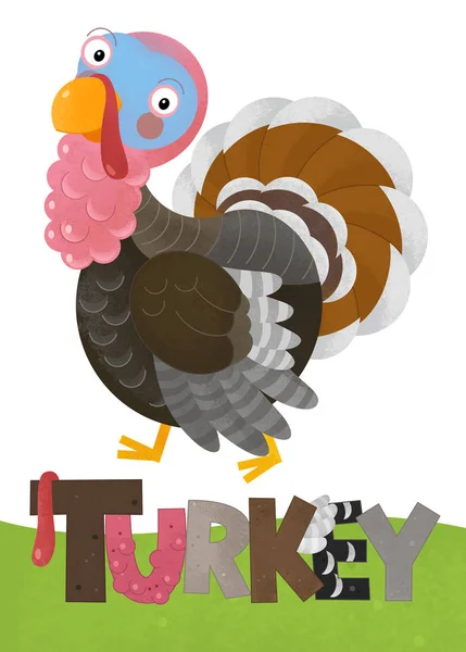 Cartoon scene with happy turkey on white background with name — Stock Photo, Image