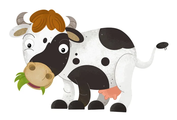 cartoon scene with cow on white background - illustration for children