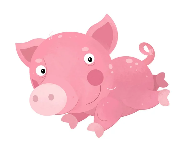 Cartoon scene with pig on white background - illustration for children — Stock Photo, Image