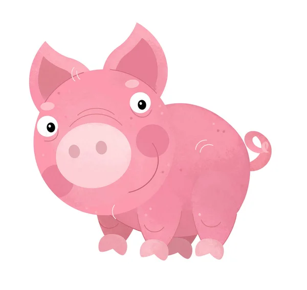 Cena dos desenhos animados com porco no fundo branco - ilustração para crianças — Fotografia de Stock
