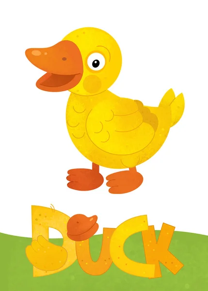 Cena dos desenhos animados com pato feliz no fundo branco com sinal de nome — Fotografia de Stock