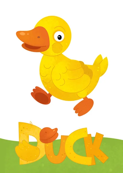 Isim işareti ile beyaz arka plan üzerinde mutlu ördek ile karikatür sahnesi — Stok fotoğraf