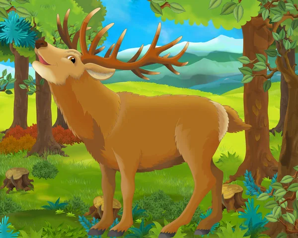 Cartoon scene with happy wild deer standing in the forest - illustration for children — Stock Photo, Image