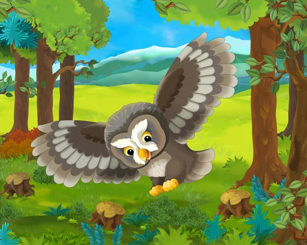 Cartoon scene with happy flying owl - in the forest - illustration for children — Stock Photo, Image